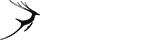 卡密代理加盟的手机号轰炸机